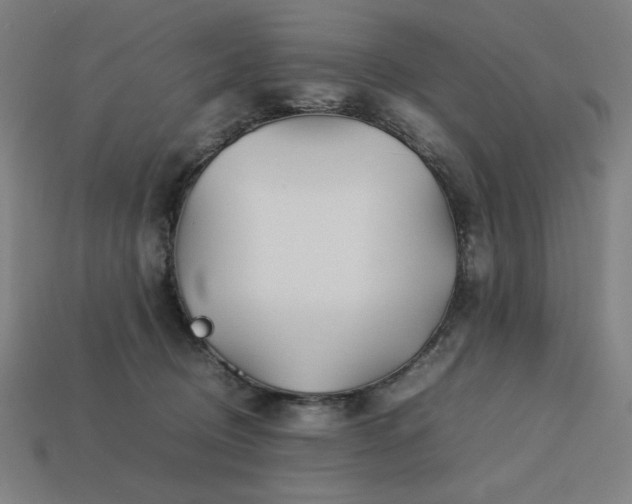 X0000113760370200909231210