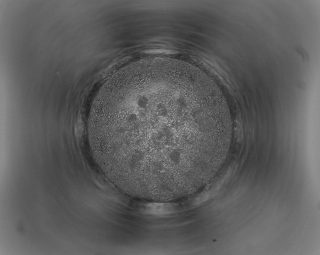 X0000113760371200909231210