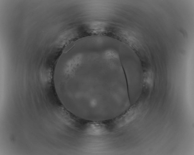 X0000113760372200909231210