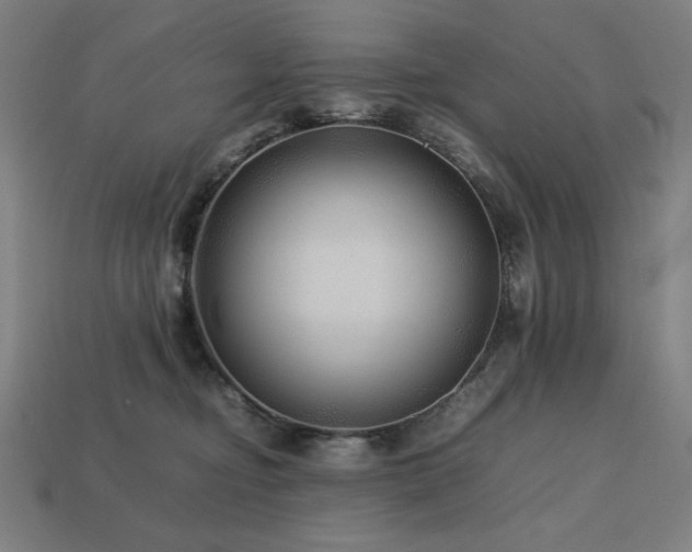 X0000113760374200909231210