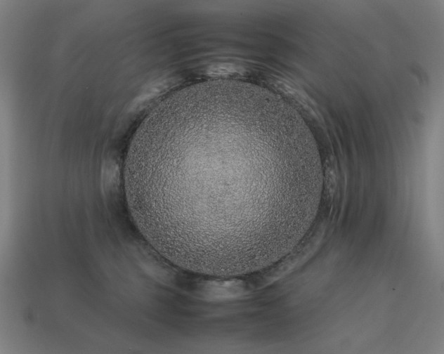 X0000113760375200909231210