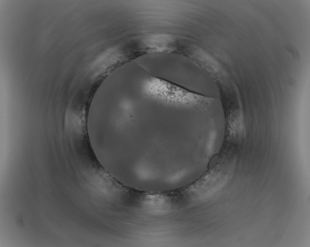 X0000113760376200909231210