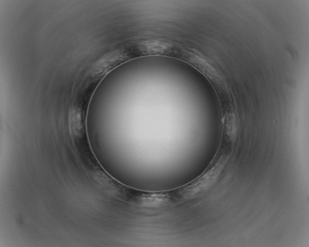 X0000113760378200909231210
