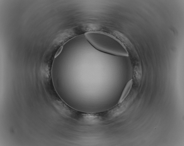 X0000113760380200909231210