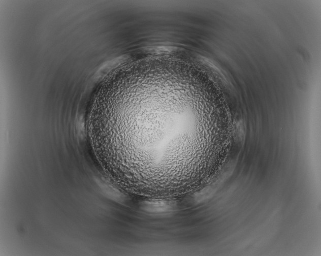 X0000113760381200909231210