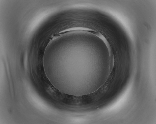 X0000113760382200909231210
