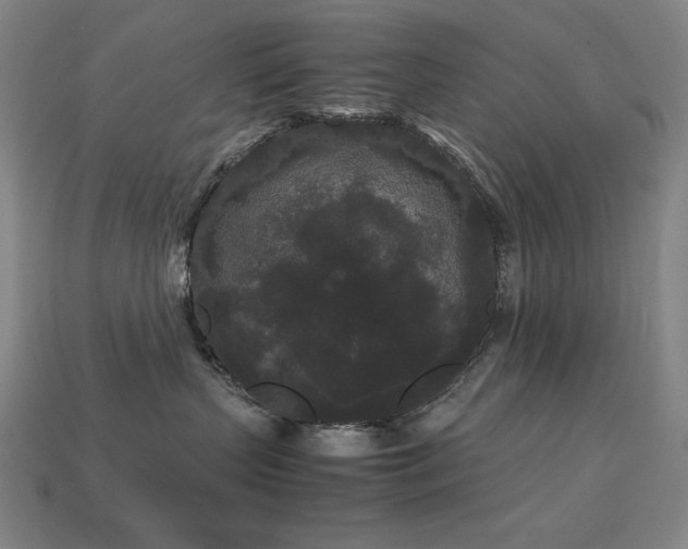 X0000113760383200909231210