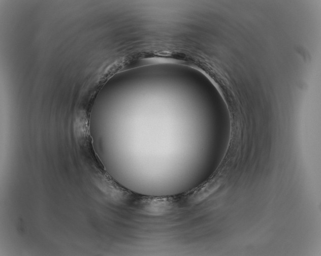 X0000113760384200909231210