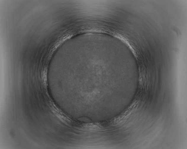 X0000113760386200909231209