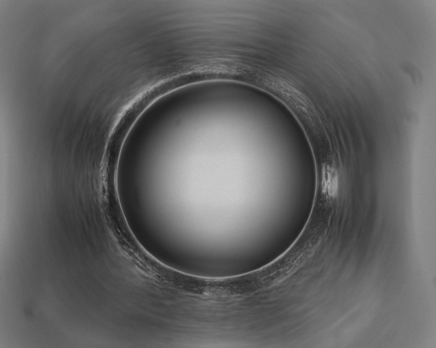 X0000113760388200909231209