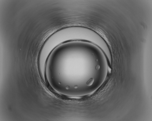 X0000113760389200909231209