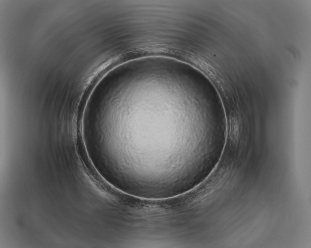 X0000113760390200909231209