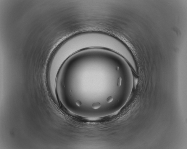 X0000113760391200909231209