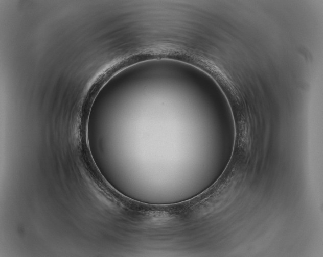 X0000113760392200909231209