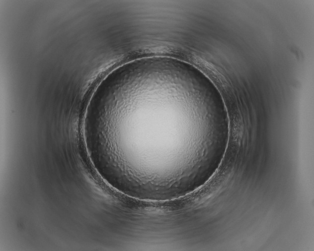 X0000113760394200909231209