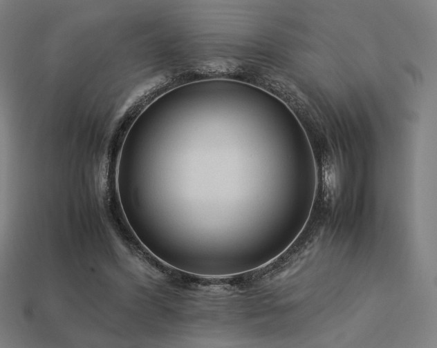 X0000113760396200909231209