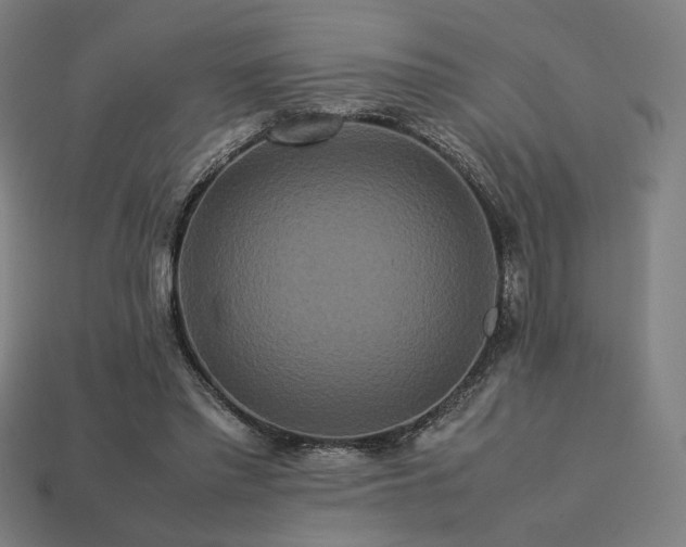 X0000113760397200909231209