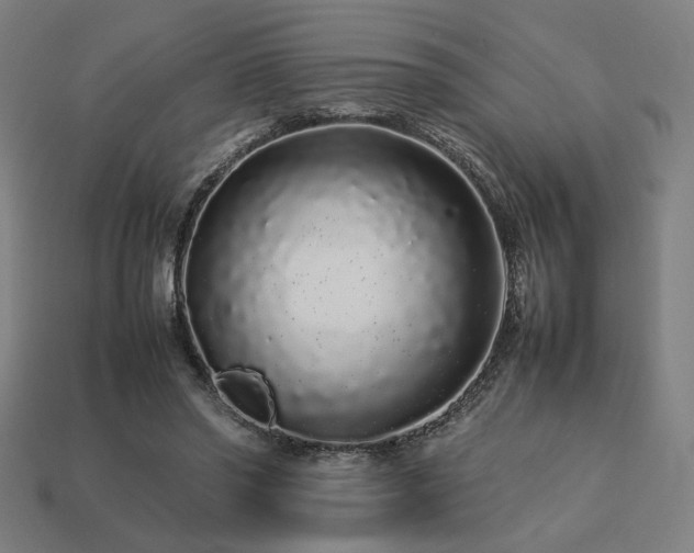 X0000113760398200909231209