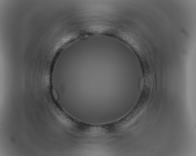 X0000113760399200909231209