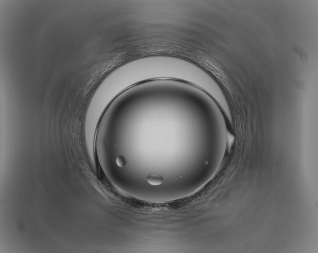 X0000113760401200909231209