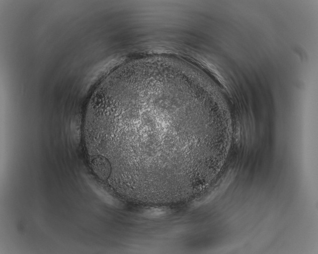X0000113760402200909231209
