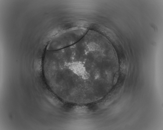 X0000113760403200909231209