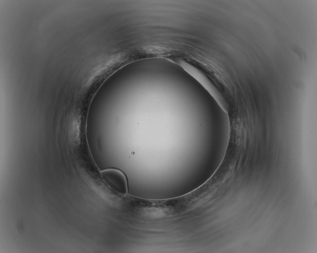 X0000113760404200909231209