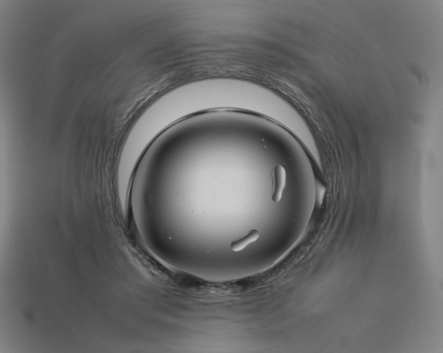 X0000113760405200909231209