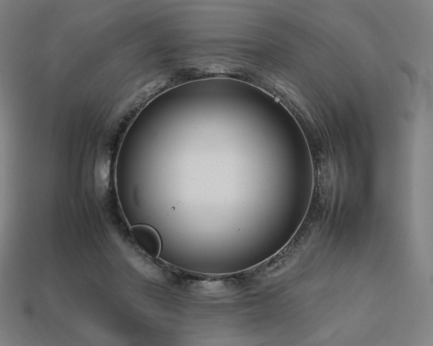 X0000113760406200909231209