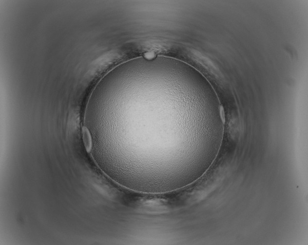 X0000113760407200909231209