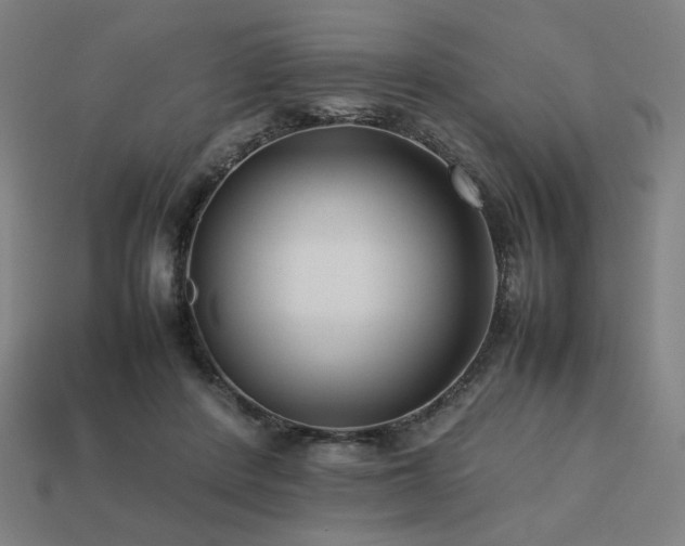 X0000113760408200909231209