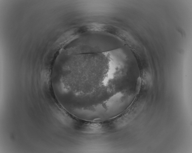X0000113760409200909231209
