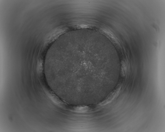 X0000113760410200909231209
