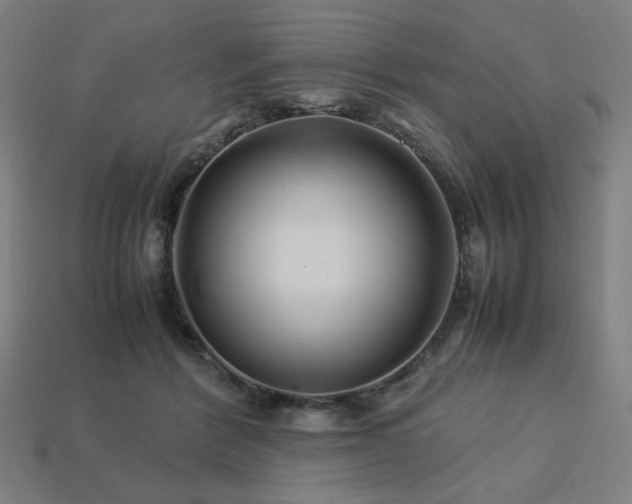 X0000113760412200909231209