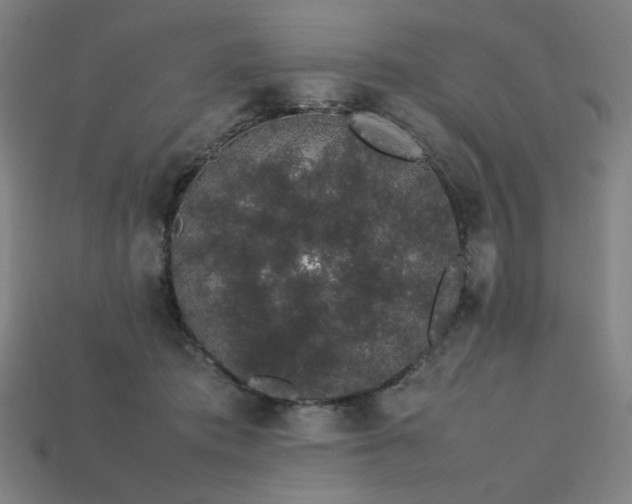 X0000113760413200909231209