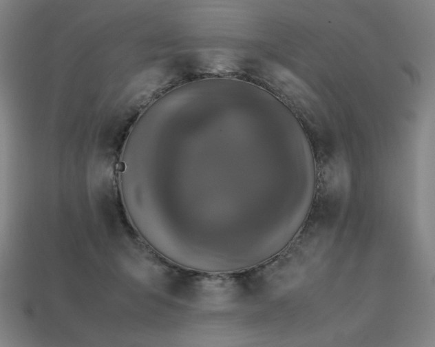 X0000113760415200909231209