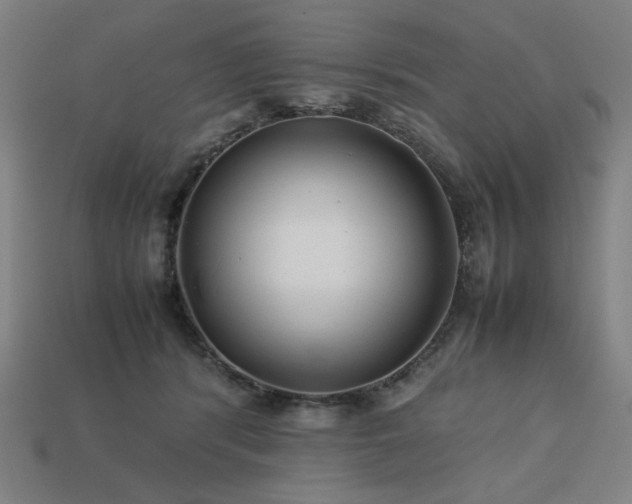 X0000113760416200909231209