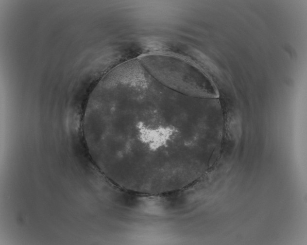 X0000113760417200909231209