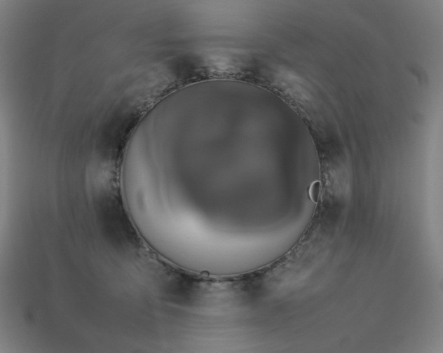 X0000113760419200909231209