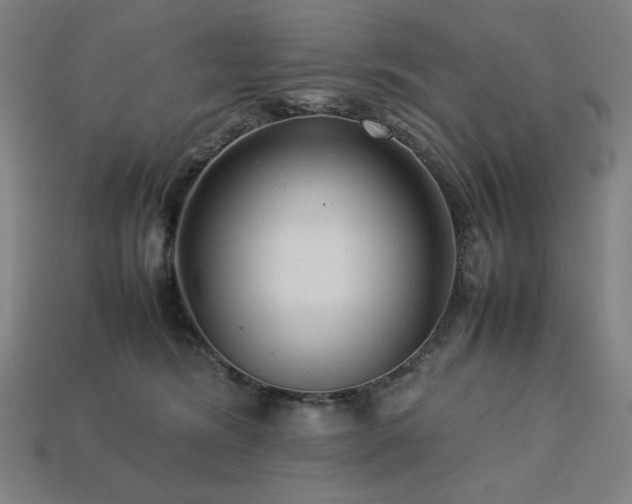 X0000113760420200909231209