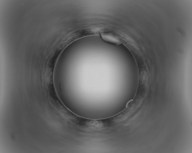 X0000113760421200909231209