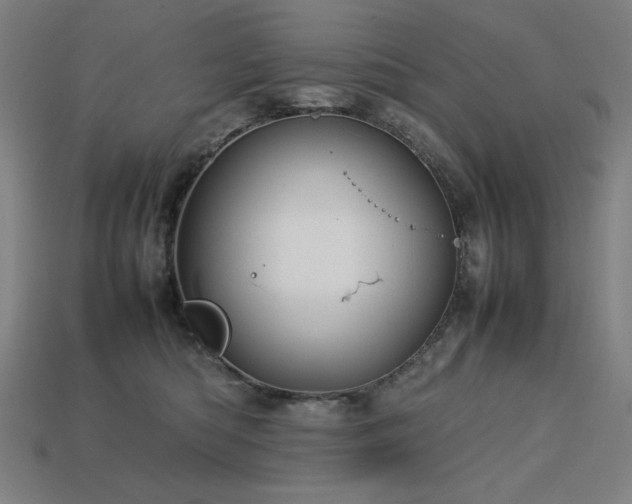 X0000113760422200909231209