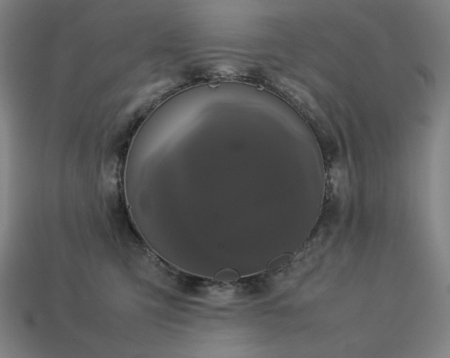 X0000113760423200909231209