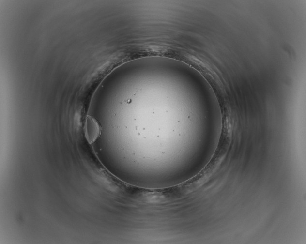 X0000113760424200909231209