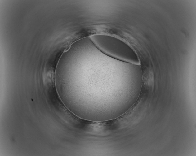 X0000113760425200909231209