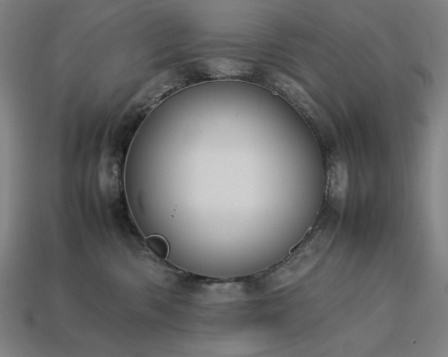 X0000113760426200909231209