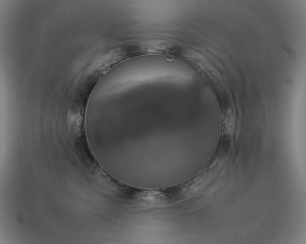 X0000113760427200909231209