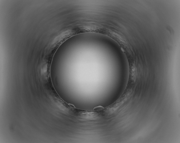 X0000113760428200909231209