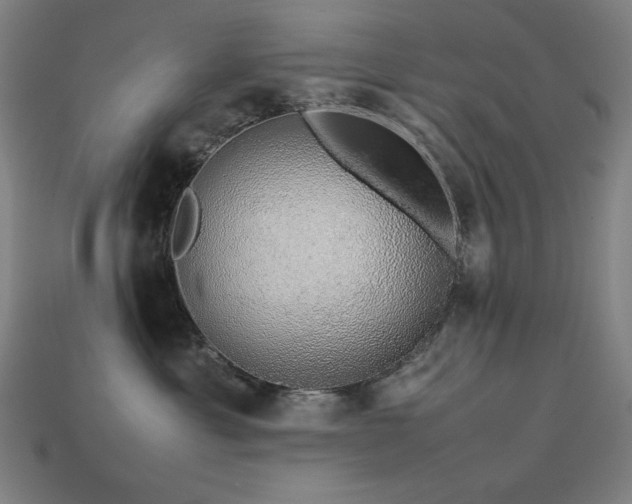 X0000113760429200909231209