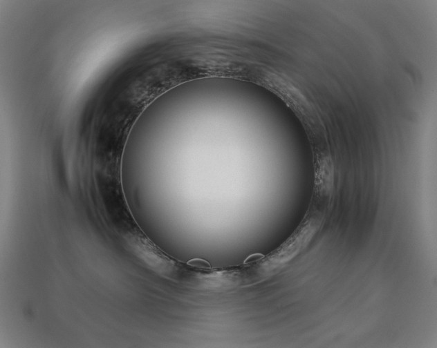 X0000113760430200909231209